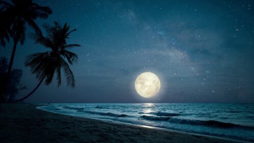 Deeming rates (2025-26) and calculator for the Age Pension income test