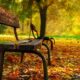 Losing capacity: The issues for SMSF trustees and what you need to do