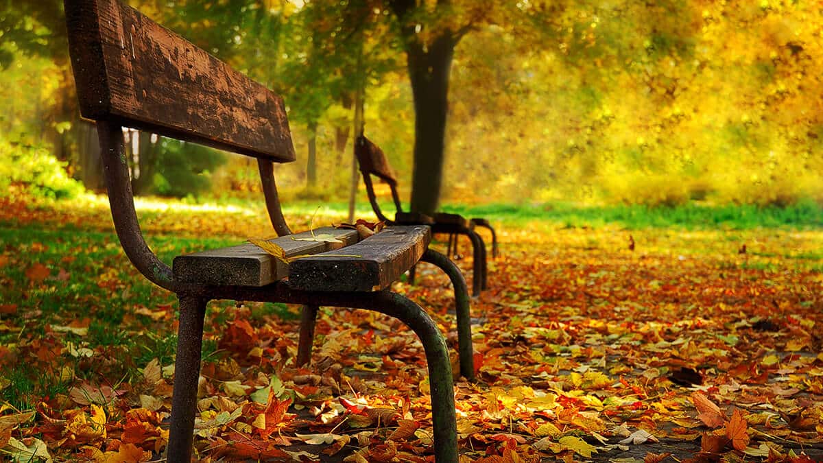 SMSF death benefits: Who are my dependents and why does it matter?