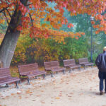 Commonwealth Seniors Health Card: Eligibility and how to apply